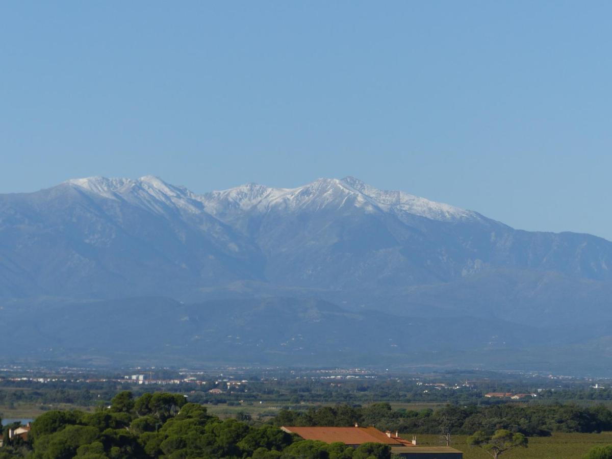 Appartamento Albatros Canet-en-Roussillon Esterno foto